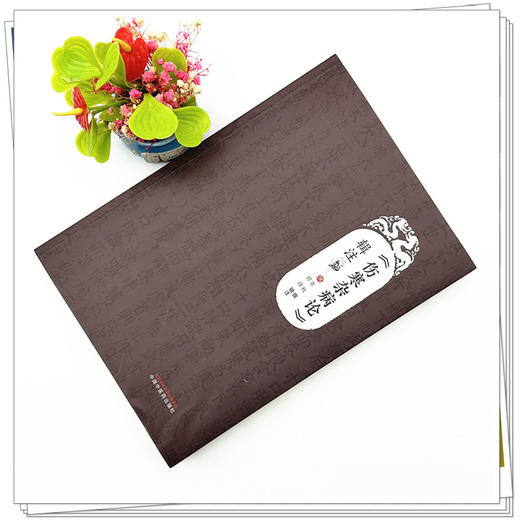 （伤寒杂病论）辑注 (汉) 张机撰 曾锋辑注 中国中医药出版社 伤寒论 金匮要略 临床 书籍 商品图1