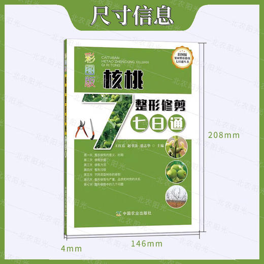 核桃整形修剪7日通 彩图版果树整形修剪七日通丛书 核桃 整形修剪 剪枝 纸皮核桃 中国农业出版社 9787109266674【官方正版，可开发票，下单时留开票信息和电子邮箱】 商品图2