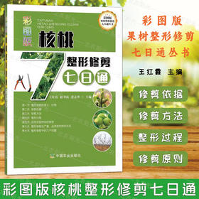 核桃整形修剪7日通 彩图版果树整形修剪七日通丛书 核桃 整形修剪 剪枝 纸皮核桃 中国农业出版社 9787109266674【官方正版，可开发票，下单时留开票信息和电子邮箱】