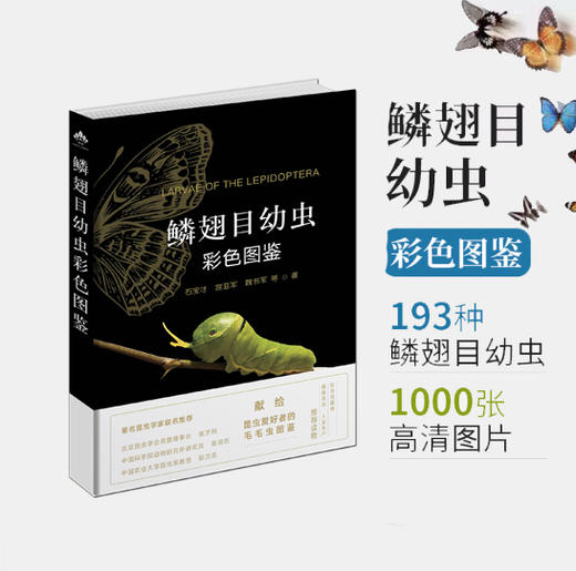 【园艺学会】鳞翅目幼虫彩色图鉴 商品图0