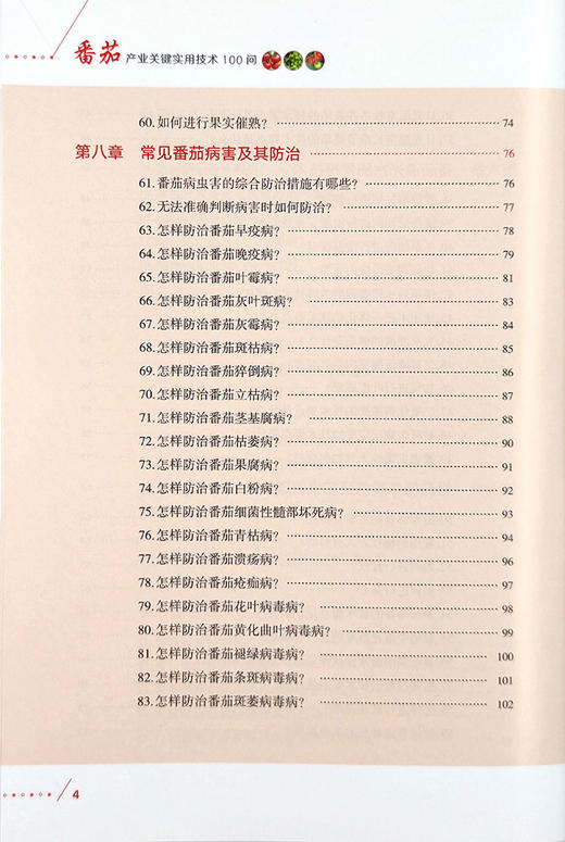 番茄产业关键实用技术100问【官方正版，可开发票，下单时留开票信息和电子邮箱】 商品图4