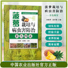 菠萝栽培与病虫害防治彩色图说【中国农业出版社官方正版】 商品缩略图0