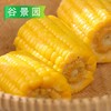 【会员专享】玉米段 1kg/袋(3cm/段) 10袋/件 商品缩略图3