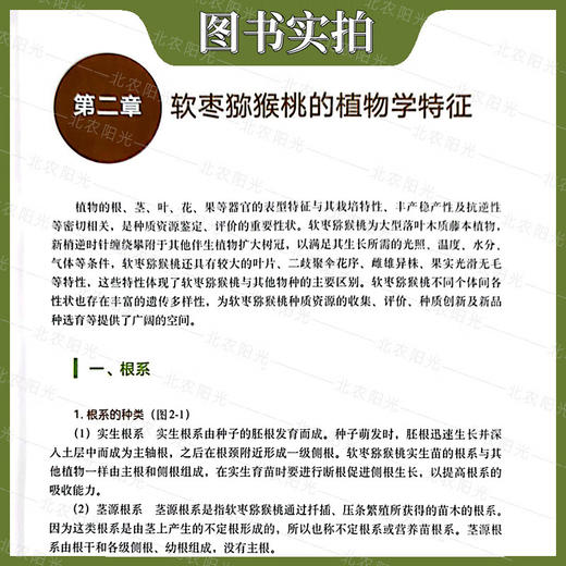 中国软枣猕猴桃种质资源 【官方正版，可开发票，下单时留开票信息和电子邮箱】 商品图4