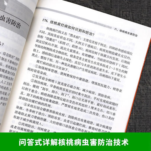 核桃高质高效生产200题 【中国农业出版社官方正版，可开发票，下单时留开票信息和电子邮箱】 商品图4