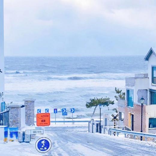 元旦3天【威海·天鹅湖930元】网红威海の一半浪漫一半山海-奔赴一场山海之约-与天鹅共舞 商品图0