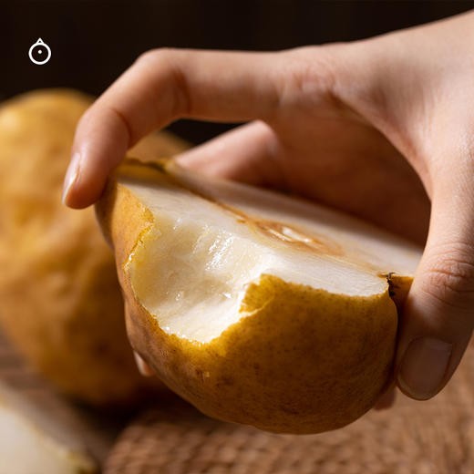 企鹅市集|山东威海丑梨太婆梨 5斤装（大果6-9枚） 甜蜜软糯 苹果香蕉番石榴香气 商品图3