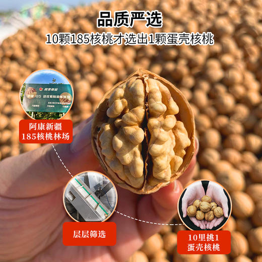 【年货送礼 新疆185蛋壳核桃】 壳薄如蛋壳 一捏就开 口口酥脆 无油蛤味 营养丰富 吃的过瘾 每袋独立包装 1000克 商品图2