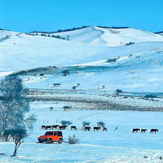 元旦3天【 乌兰布统冬捕B线】越野穿越雪原の塞北雪乡-马踏飞雪-冰雪童话-摄影深度游