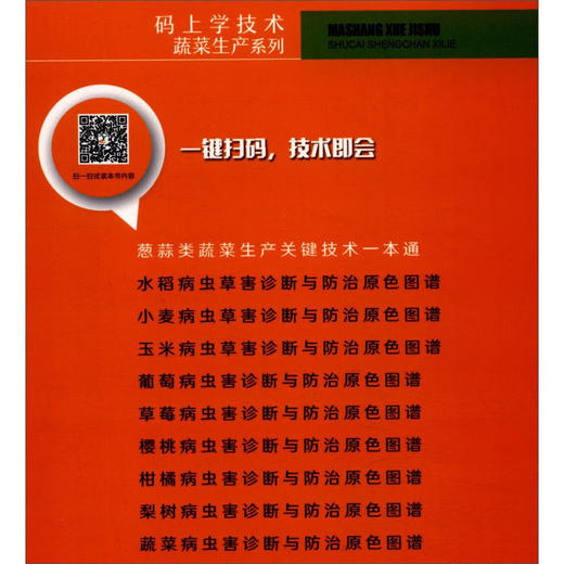 葱蒜类蔬菜生产关键技术一本通 【官方正版，可开发票，下单时留开票信息和电子邮箱】 商品图2