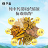 【社群专享】华畜草本五黄精华液500ml 纯中药浓缩液抗菌消炎 保肝利胆提高抵抗力 商品缩略图2