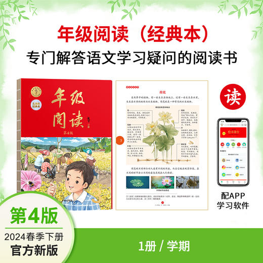 【绘本课堂】【2024春季下册语文单品合集】统编版小学生语文绘本课堂 商品图4