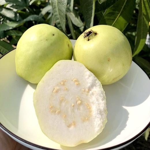 【树上熟采摘，发货慢】一旦开始就停不下来！奶油芭乐 又软又奶又香 自带菠萝甜香味 搭配酸梅粉 赞不绝口 商品图4