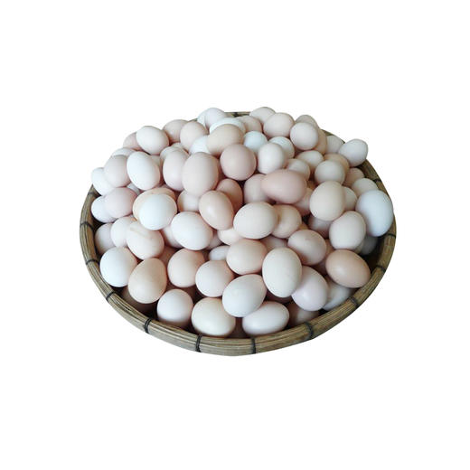 广远杏花鸡初生蛋30枚 商品图3