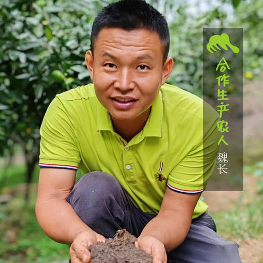 生态脐橙 | 合作生产 *Eco-orange | Coproduction 商品图1