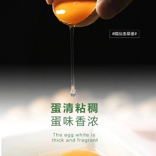 藏仙虫草鸡 虫草面 藏仙虫草蛋30枚 商品图11