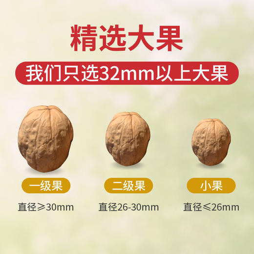 【年货送礼 新疆185蛋壳核桃】 壳薄如蛋壳 一捏就开 口口酥脆 无油蛤味 营养丰富 吃的过瘾 每袋独立包装 1000克 商品图4