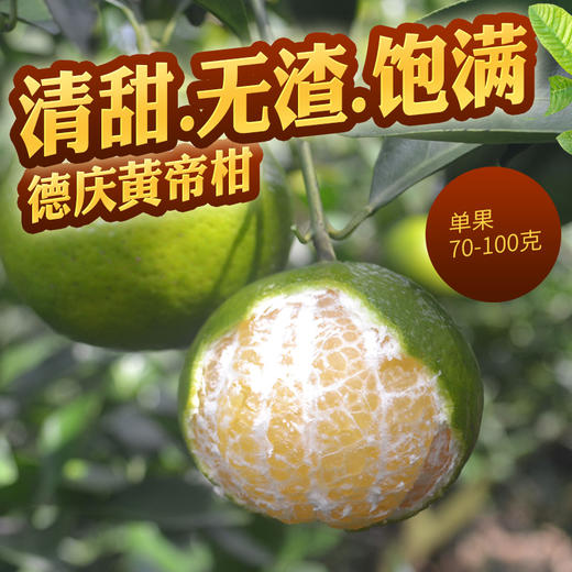 德庆贡柑9斤/箱 商品图1