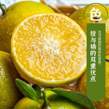 德庆贡柑9斤/箱 商品图3