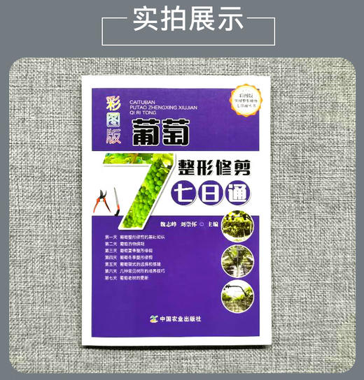 彩图版葡萄整形修剪七日通【官方正版，可开发票，下单时留开票信息和电子邮箱】 商品图3