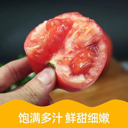 普罗旺斯西红柿露天种植沙瓤西红柿自然成熟新鲜番茄绿色蔬菜 商品图6