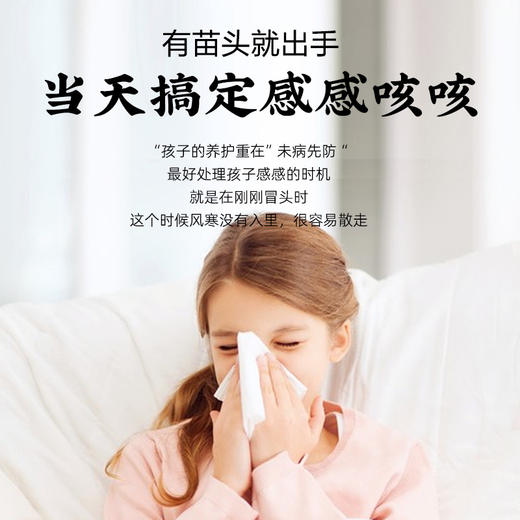 养瑞和丨葱白紫苏汤·100g·10袋/盒·换季降温常备·紫苏发酵豆豉·孩子也能喝 商品图1