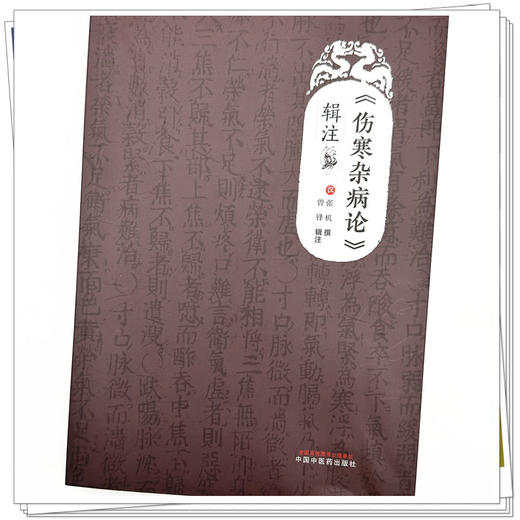 （伤寒杂病论）辑注 (汉) 张机撰 曾锋辑注 中国中医药出版社 伤寒论 金匮要略 临床 书籍 商品图3