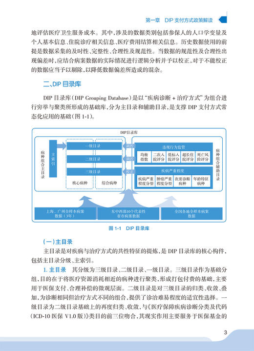 医疗机构按病种分值付费DIP操作实战 应亚珍 袁向东 医保DIP支付改革全面可操作性应对策略 管理实施细则实践案例 人民卫生出版社 商品图4