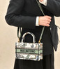 Dior mini托特 商品缩略图4