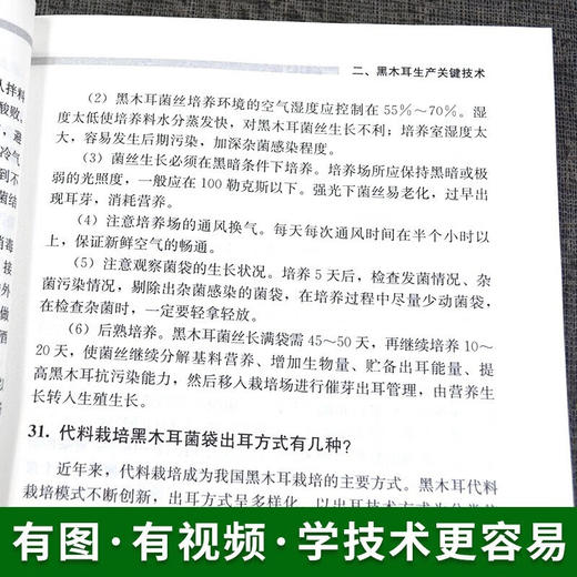 食用菌高质高效生产200题【中国农业出版社官方正版，可开发票，下单时留开票信息和电子邮箱】 商品图3