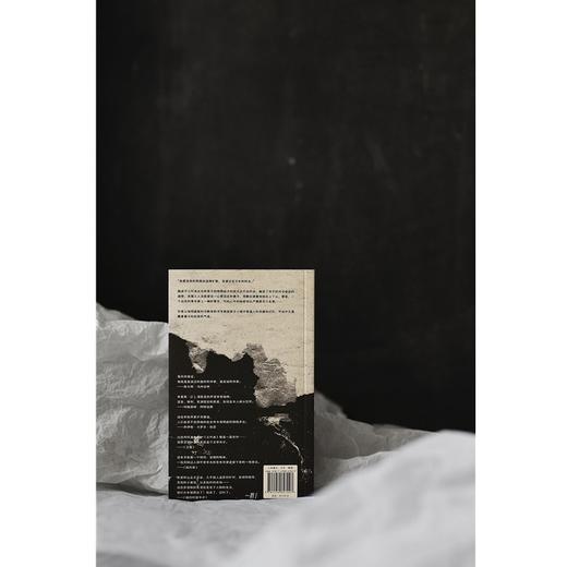 三叶虫与其他故事 （你从未听说过的伟大作家！早逝天才唯一遗作，“美国版《都柏林人》”） 商品图3