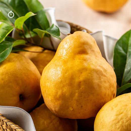 企鹅市集|山东威海丑梨太婆梨 5斤装（大果6-9枚） 甜蜜软糯 苹果香蕉番石榴香气 商品图2