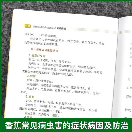 香蕉栽培与病虫害防治彩色图说【官方正版，可开发票】 商品图3