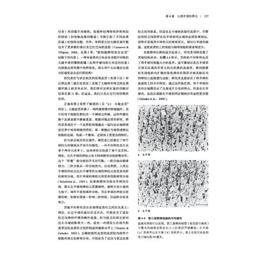 认知神经科学 关于心智的生物学 原著第5版 商品图3