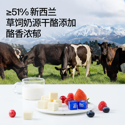 奶酪博士奶酪小方|≥51%新西兰草饲奶源干酪，奶香浓醇超丝滑！好吃还补钙 商品图3