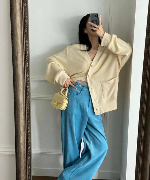 Celine迷你马鞍-奶黄色 商品图5