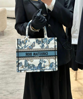 Dior托特小号-蓝蝴蝶