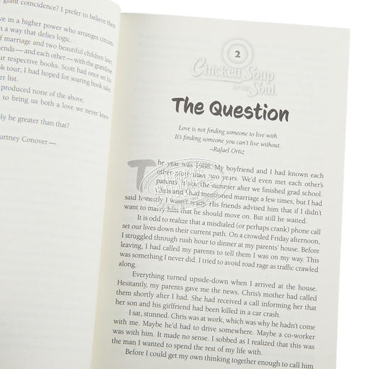 【中商原版】心灵鸡汤 英文原版 Chicken Soup for the Soul All You Need Is Love 101 Tales of Romance Amy Newmark 商品图2