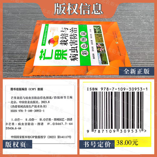 芒果栽培与病虫害防治彩色图说 詹儒林 编 芒果种植业 水果栽培专业科技 中国农业出版社 9787109309531【官方正版，可开发票，下单时留开票信息和电子邮箱】 商品图3