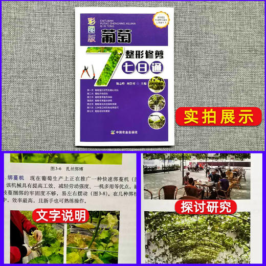 彩图版葡萄整形修剪七日通【官方正版，可开发票，下单时留开票信息和电子邮箱】 商品图2