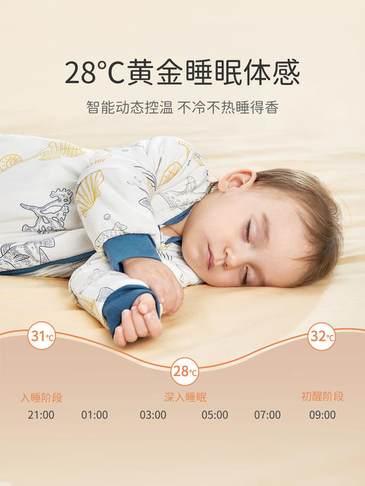 贝肽斯【肽绵】婴儿睡袋秋冬款恒温新生儿宝宝冬季加厚防踢被防寒 商品图2