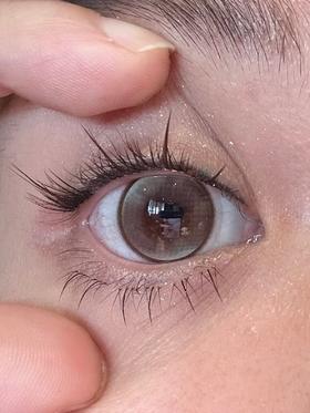 DeeKay (DK)美瞳 G351 14.2mm