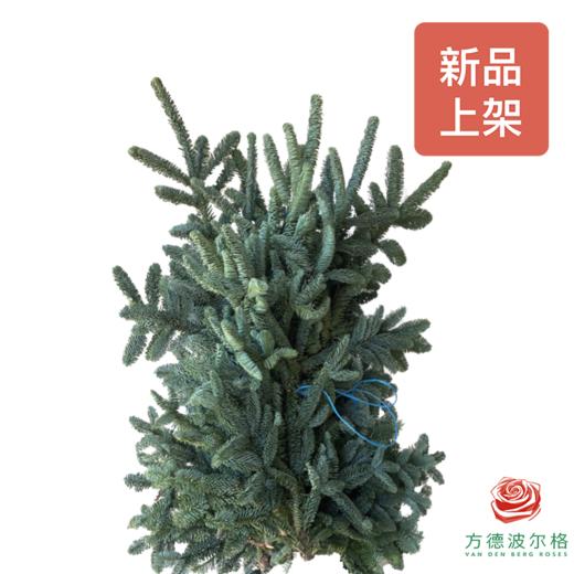 进口诺贝松 4KG 商品图0