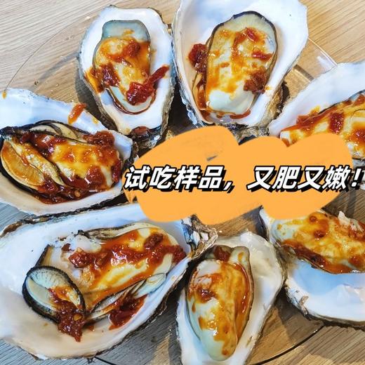 【包邮】精品带标  山东威海乳山生蚝 肉质鲜美饱满 入口滑嫩 自然鲜甜 又肥又嫩 商品图2
