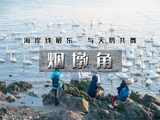 元旦3日【烟墩角】与天鹅共舞-拥抱海岸线第一绥阳光の烟墩角-天鹅湖-海草房-成山头-青州古城 商品图0