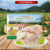广远杏花鸡光鲜鸡750g 商品缩略图0