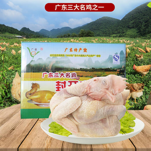 广远杏花鸡光鲜鸡750g 商品图0
