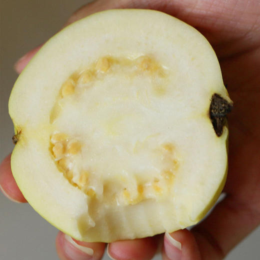 【树上熟采摘，发货慢】一旦开始就停不下来！奶油芭乐 又软又奶又香 自带菠萝甜香味 搭配酸梅粉 赞不绝口 商品图8