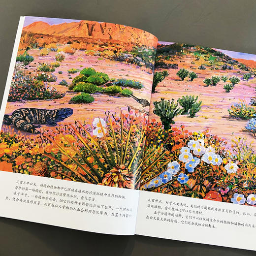 阿基米德科普绘本 商品图3