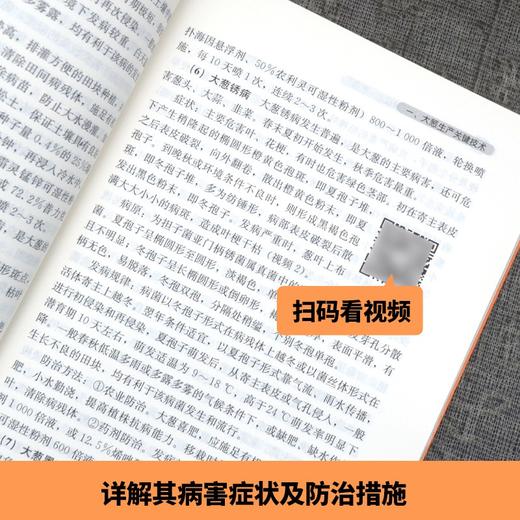 葱蒜类蔬菜生产关键技术一本通 【官方正版，可开发票，下单时留开票信息和电子邮箱】 商品图6